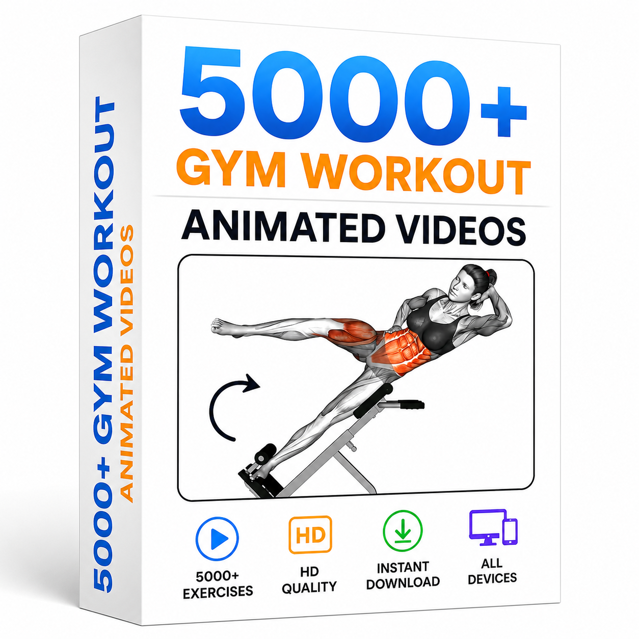 5000+ Gym Workout Animated Videos Bundle (HD Quality)
